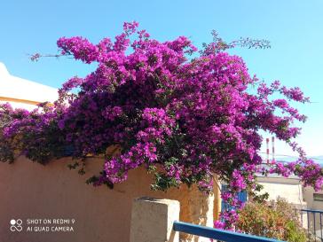 Φωτογραφία της ημέρας