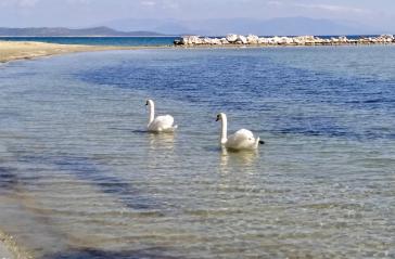 Φωτογραφία της ημέρας