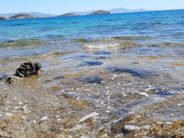 Φωτογραφία της ημέρας