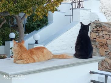 Φωτογραφία της ημέρας