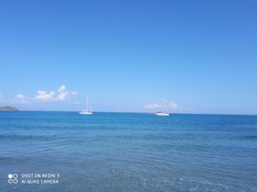 Φωτογραφία της ημέρας