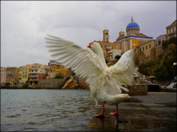 Η φωτογραφία της ημέρας