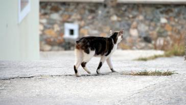 Η φωτογραφία της ημέρας