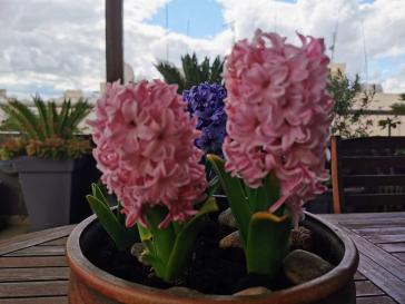 Η φωτογραφία της ημέρας