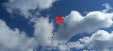 Η φωτογραφία της ημέρας