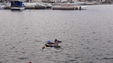 Η φωτογραφία της ημέρας