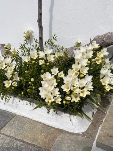 Η φωτογραφία της ημέρας