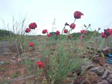 Η φωτογραφία της ημέρας