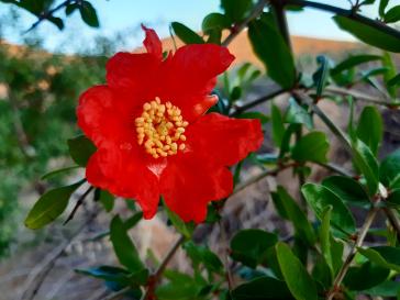 Η φωτογραφία της ημέρας