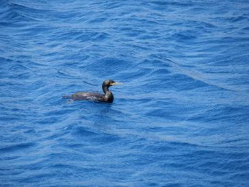 Η φωτογραφία της ημέρας