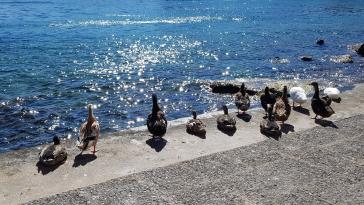 Η φωτογραφία της ημέρας