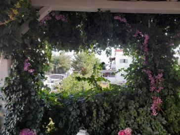 Η φωτογραφία της ημέρας