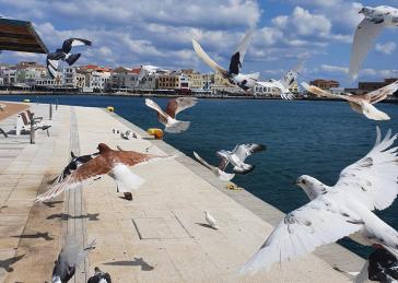 Η φωτογραφία της ημέρας