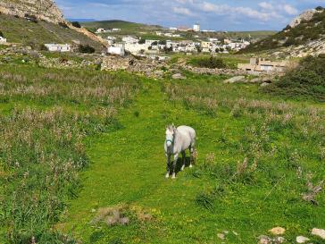 Η φωτογραφία της ημέρας