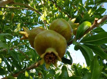 Η φωτογραφία της ημέρας