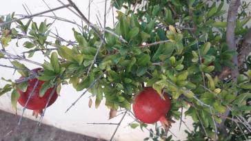 Η φωτογραφία της ημέρας