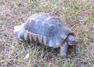 Η φωτογραφία της ημέρας