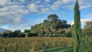 Η φωτογραφία της ημέρας