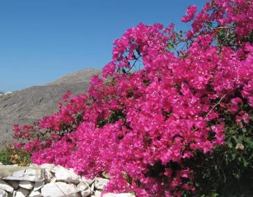 Η φωτογραφία της ημέρας