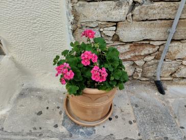 Η φωτογραφία της ημέρας