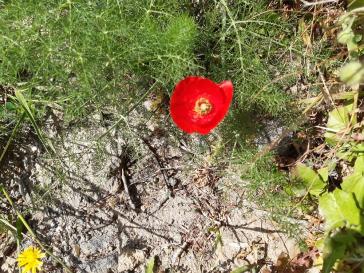Η φωτογραφία της ημέρας