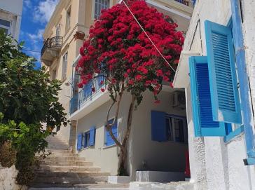 Η φωτογραφία της ημέρας