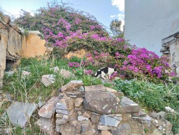 Η φωτογραφία της ημέρας