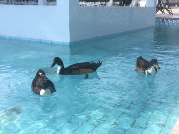 Η φωτογραφία της ημέρας