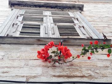 Η φωτογραφία της ημέρας