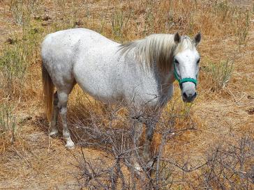 Η φωτογραφία της ημέρας