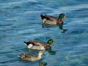 Η φωτογραφία της ημέρας