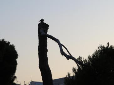 Η φωτογραφία της ημέρας