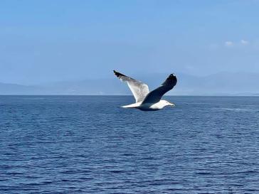 Η φωτογραφία της ημέρας