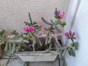 Η φωτογραφία της ημέρας