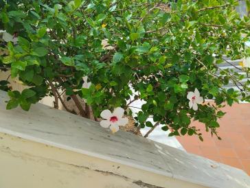 Η φωτογραφία της ημέρας