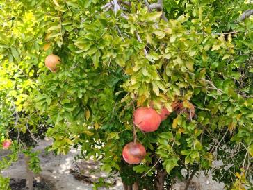 Η φωτογραφία της ημέρας