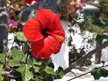 Η φωτογραφία της ημέρας