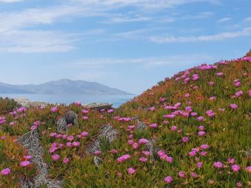 Η φωτογραφία της ημέρας