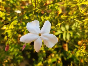 Η φωτογραφία της ημέρας