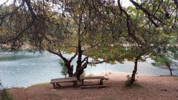 Η φωτογραφία της ημέρας