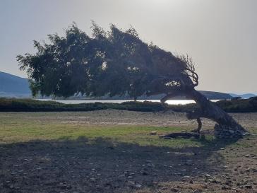 Η φωτογραφία της ημέρας