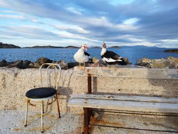 Η φωτογραφία της ημέρας