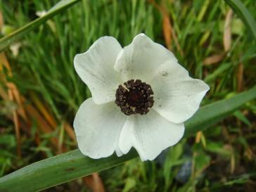 Η φωτογραφία της ημέρας