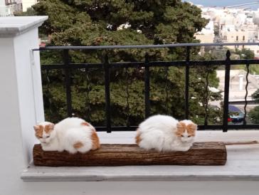 Η φωτογραφία της ημέρας