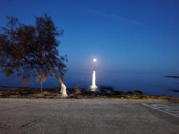 Η φωτογραφεία της ημέρας