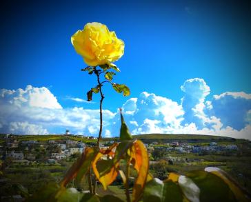 Η φωτογραφία της ημέρας
