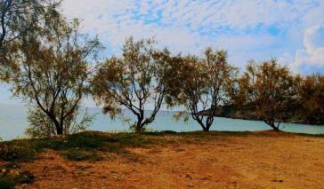 Η φωτογραφία της ημέρας