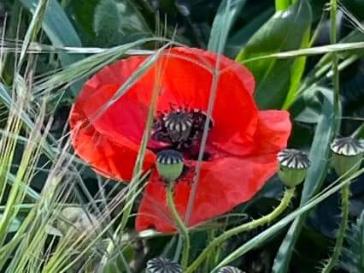 Η φωτογραφία της ημέρας