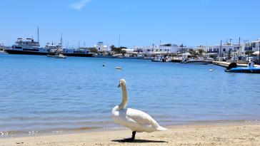 Η φωτογραφία της ημέρας