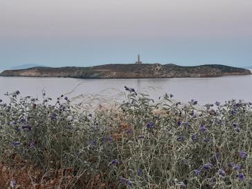 Η φωτογραφία της ημέρας